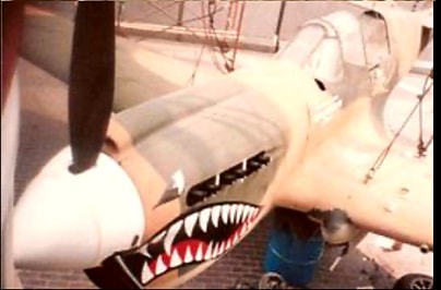P-40 Warhawk shark mouth nose art detail